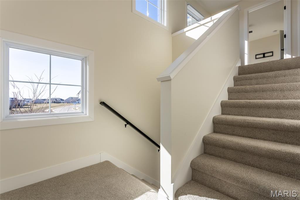 652 Tea Olive Boulevard O'Fallon, IL 62269 - Photo 43 of 73