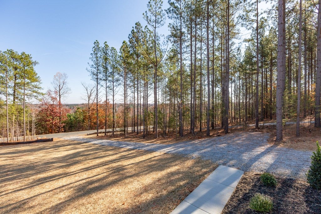 2297 Meherrin Road Meherrin, VA 23954 - Photo 32 of 59 Gallery Image 32