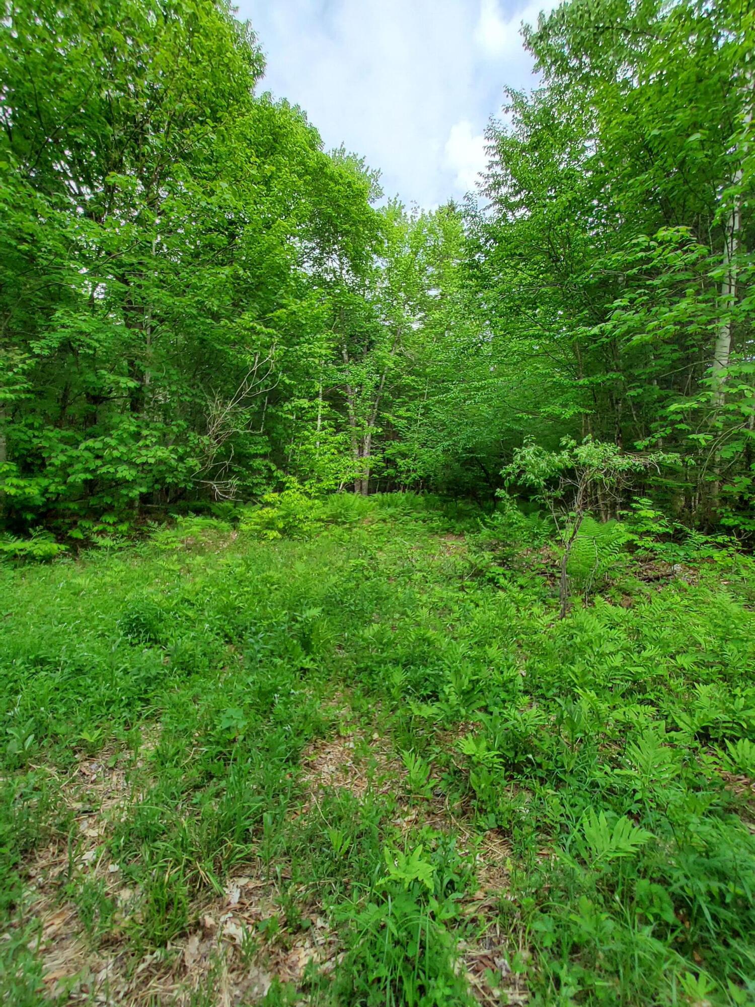 Lot 50 Map 14) Andover, ME 04216 - Photo 1 of 12 20260605_164707