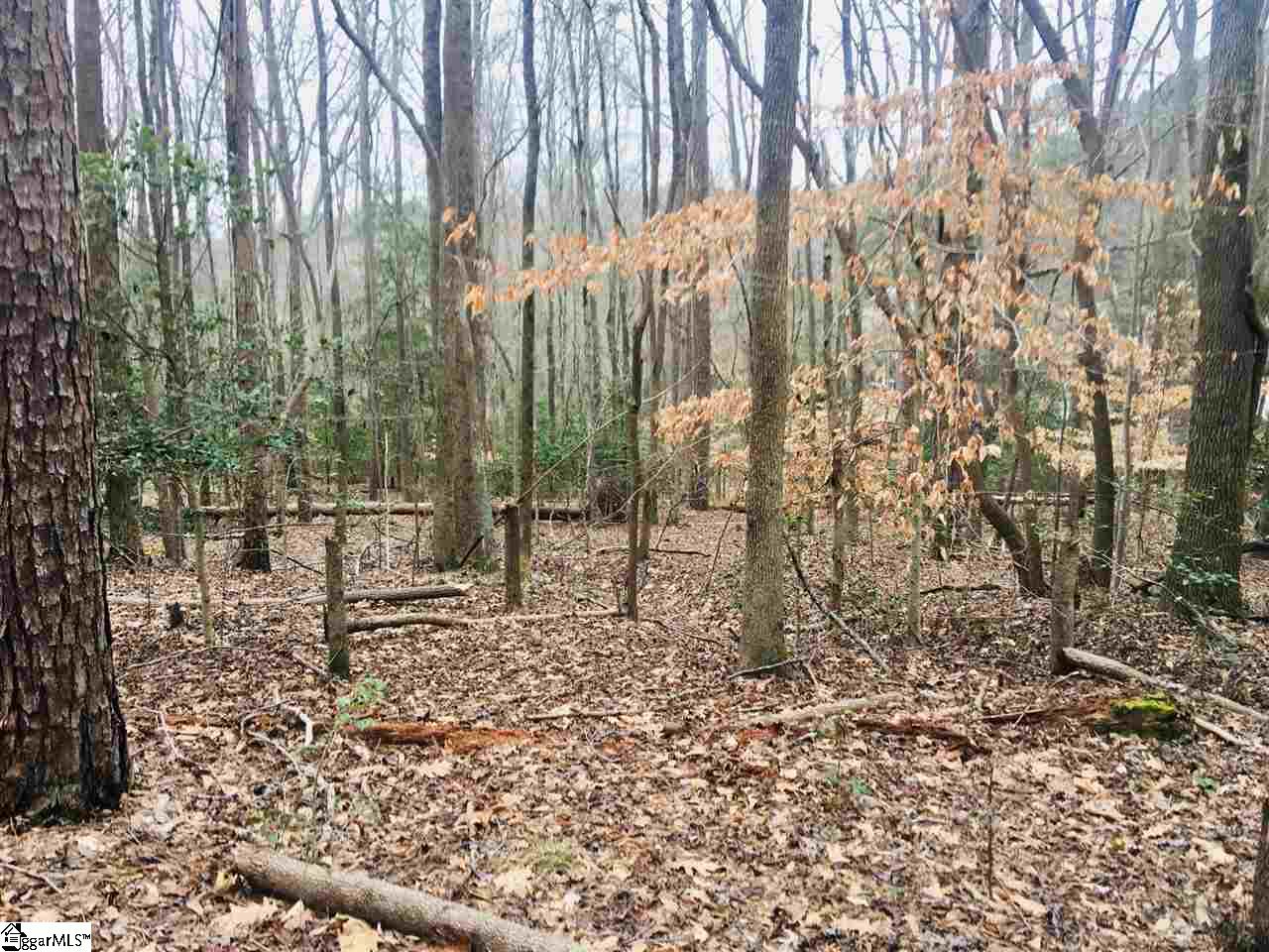 7 Moores Ridge Road Roebuck, SC 29376 - Photo 32 of 32