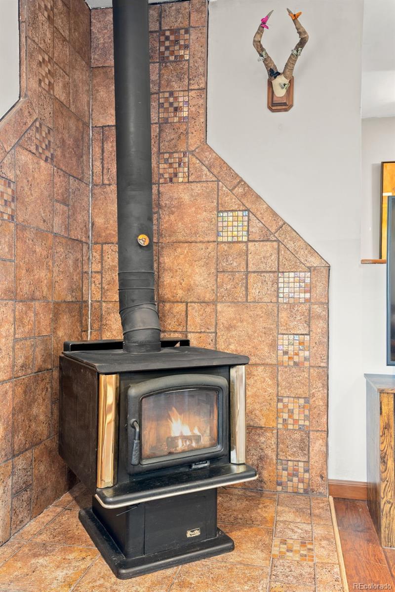 41 Yew Lane Bailey, CO 80421 - Photo 14 of 47 a fireplace with wooden floor