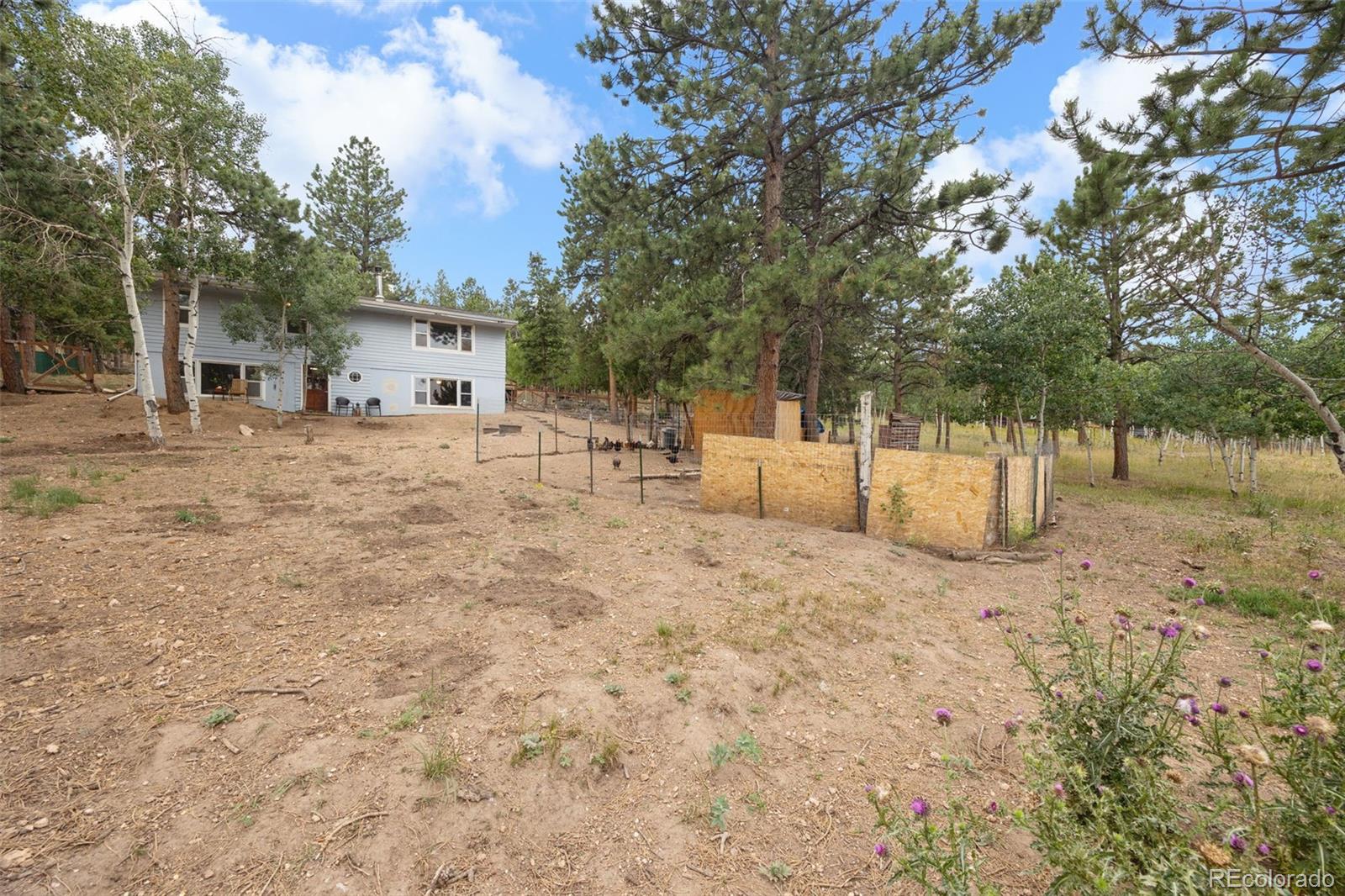 41 Yew Lane Bailey, CO 80421 - Photo 43 of 47