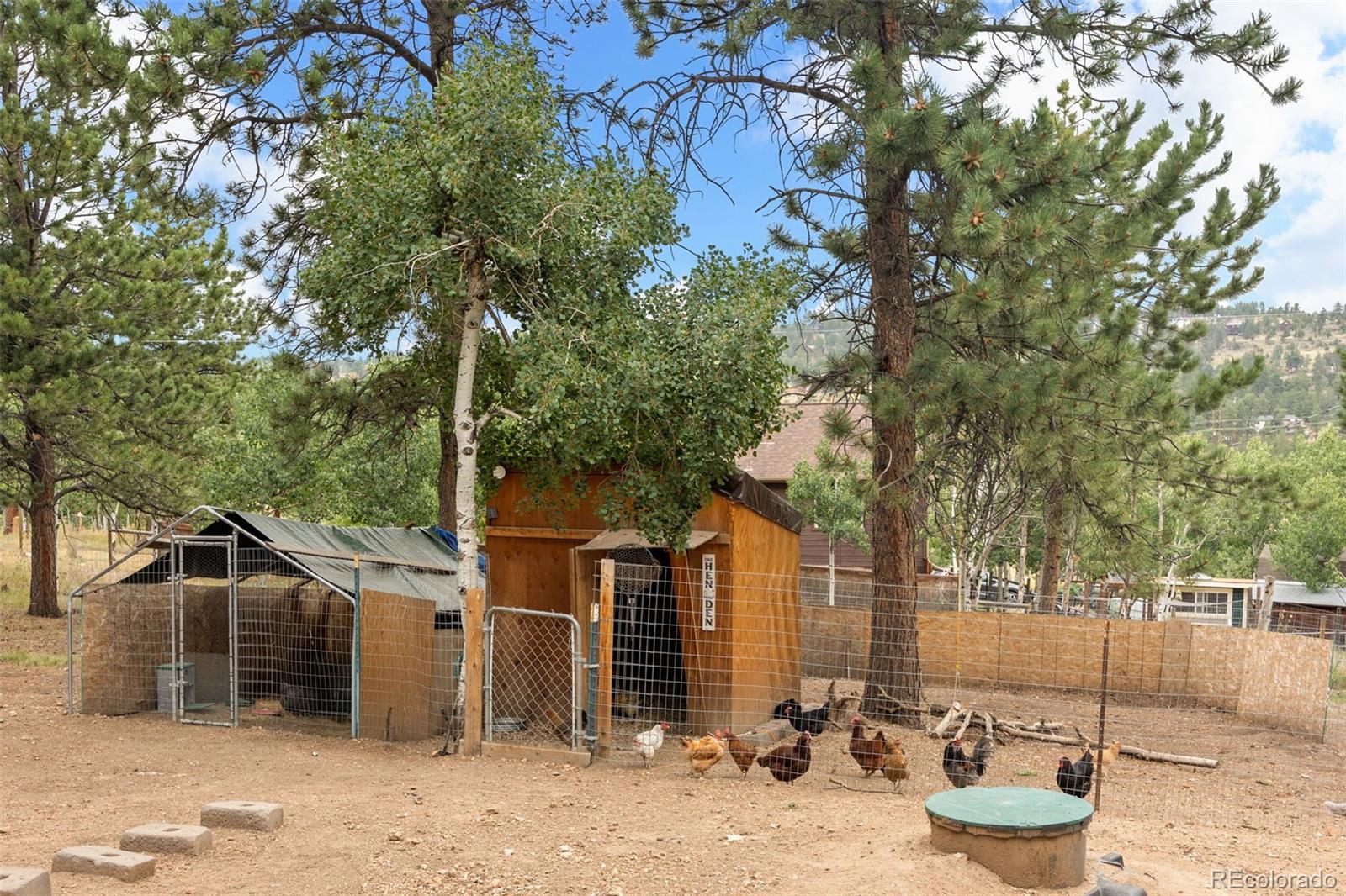 41 Yew Lane Bailey, CO 80421 - Photo 44 of 47 a view of a house with a yard