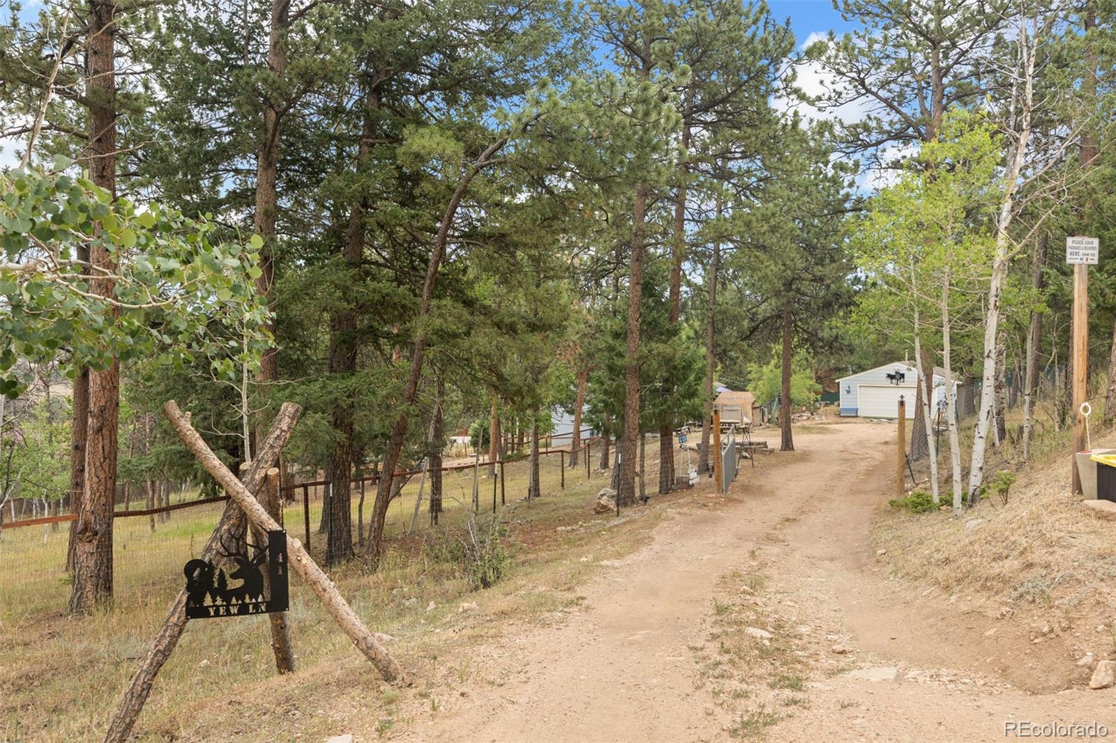 41 Yew Lane Bailey, CO 80421 - Photo 5 of 47 a view of road with trees