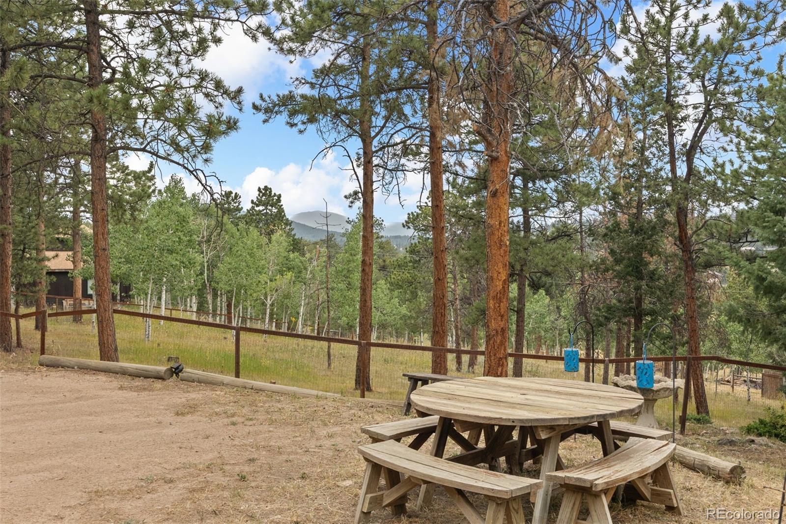 41 Yew Lane Bailey, CO 80421 - Photo 6 of 47 a backyard of a house with table and chairs