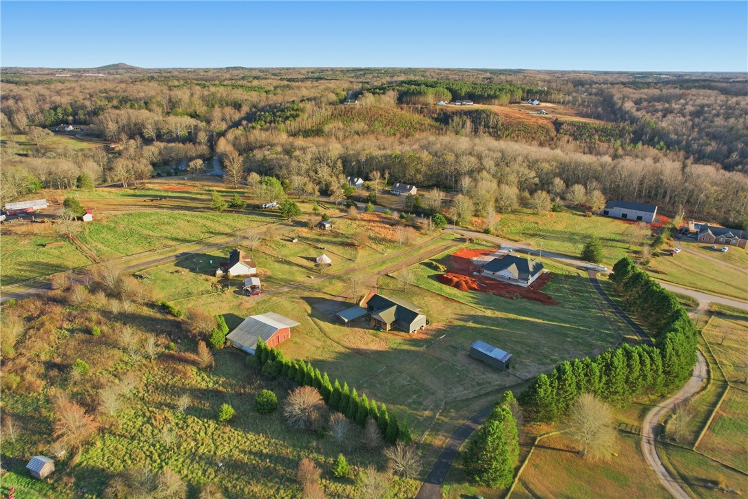 738 Stewart Gin Road Liberty, SC 29657 - Photo 45 of 47