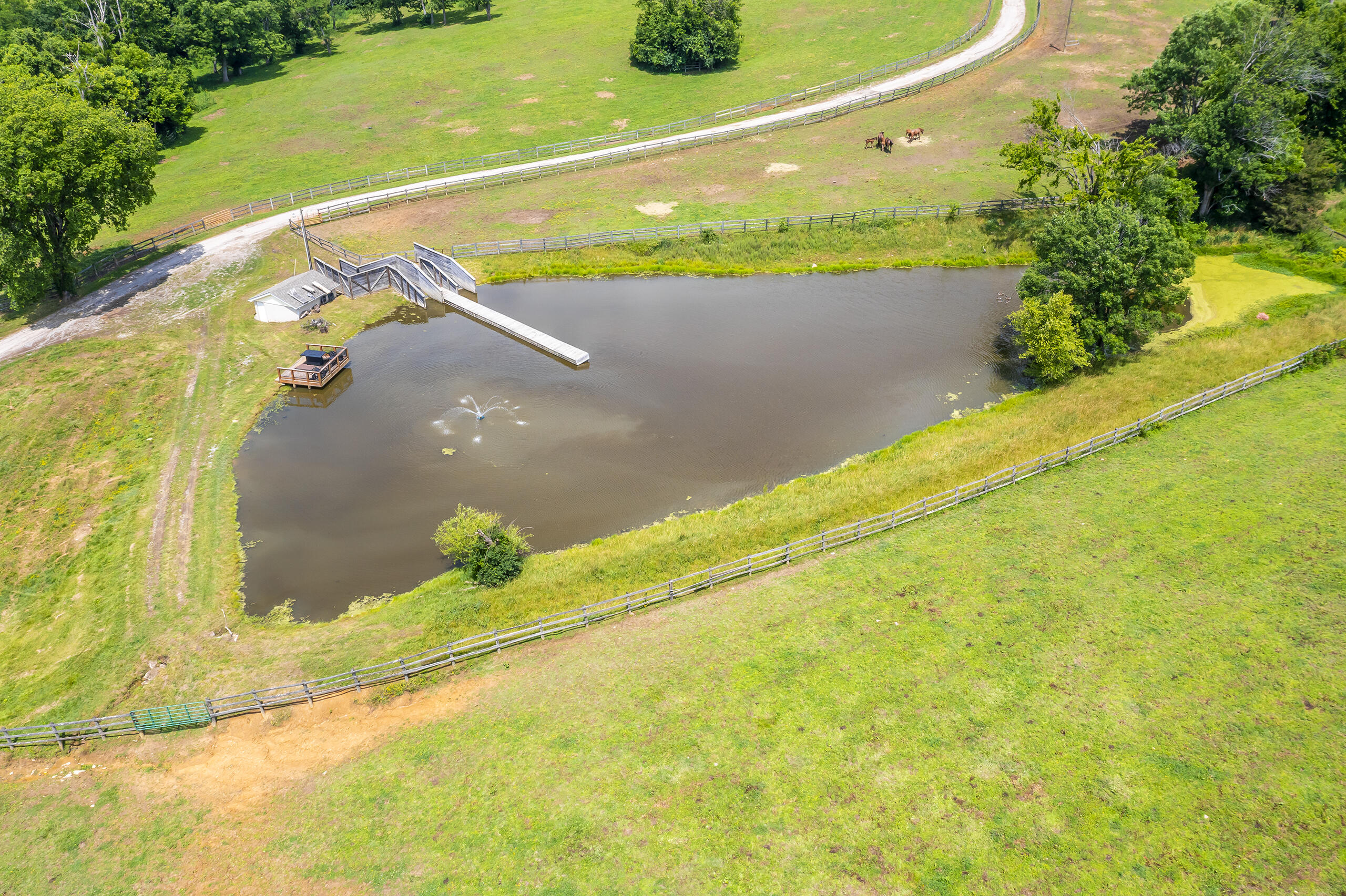 493 Levy Road Paris, KY 40361 - Photo 41 of 49 493levy49