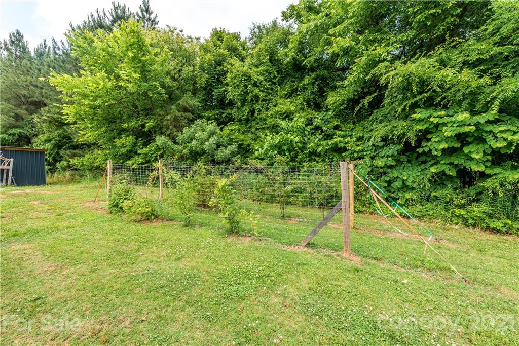 4638 Barrier Road Concord, NC 28025 - Photo 34 of 43 a backyard of a house with plants and tree