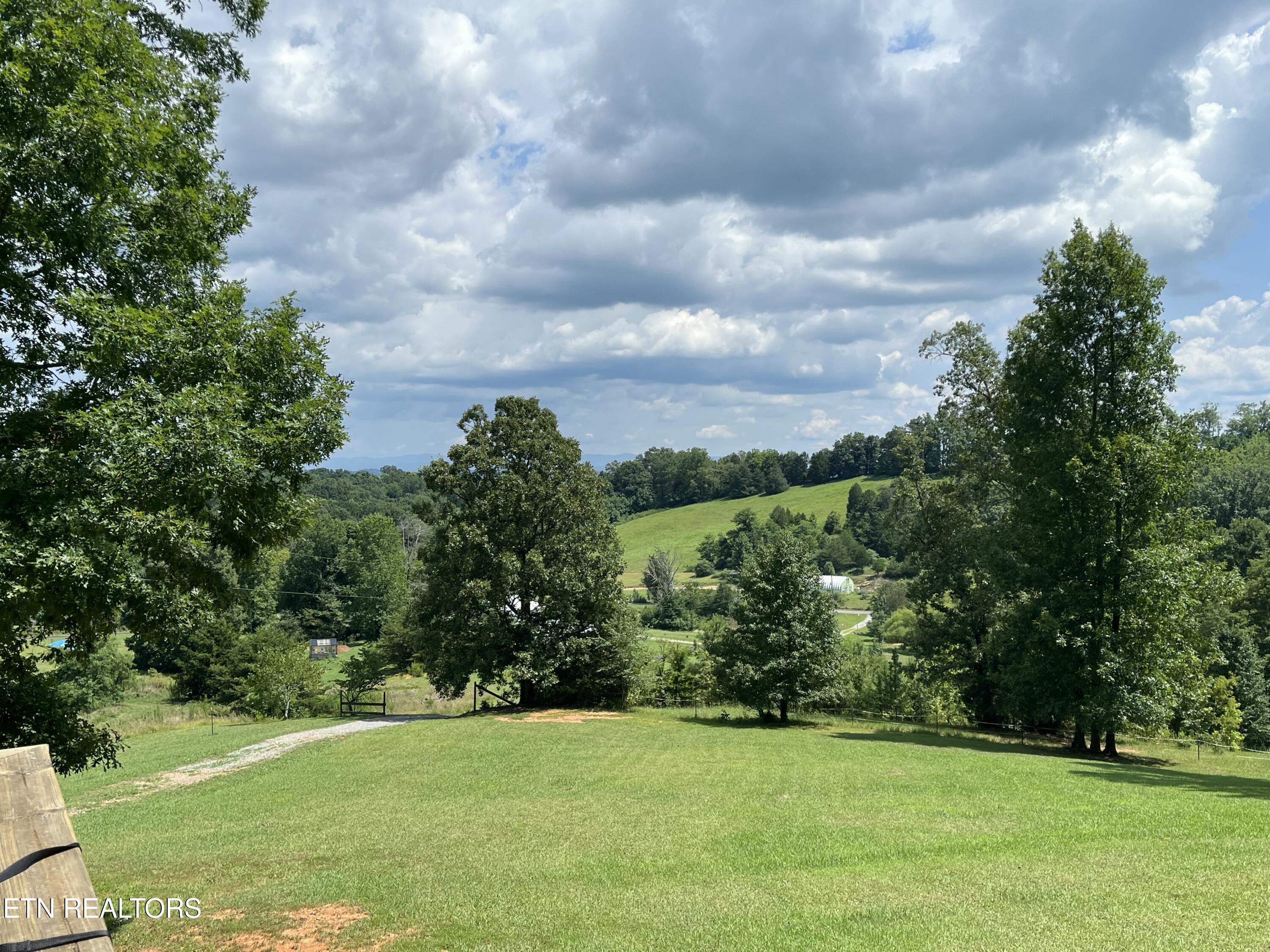 380 Harrison Road Madisonville, TN 37354 - Photo 19 of 22 380 Harrison Rd Yard front