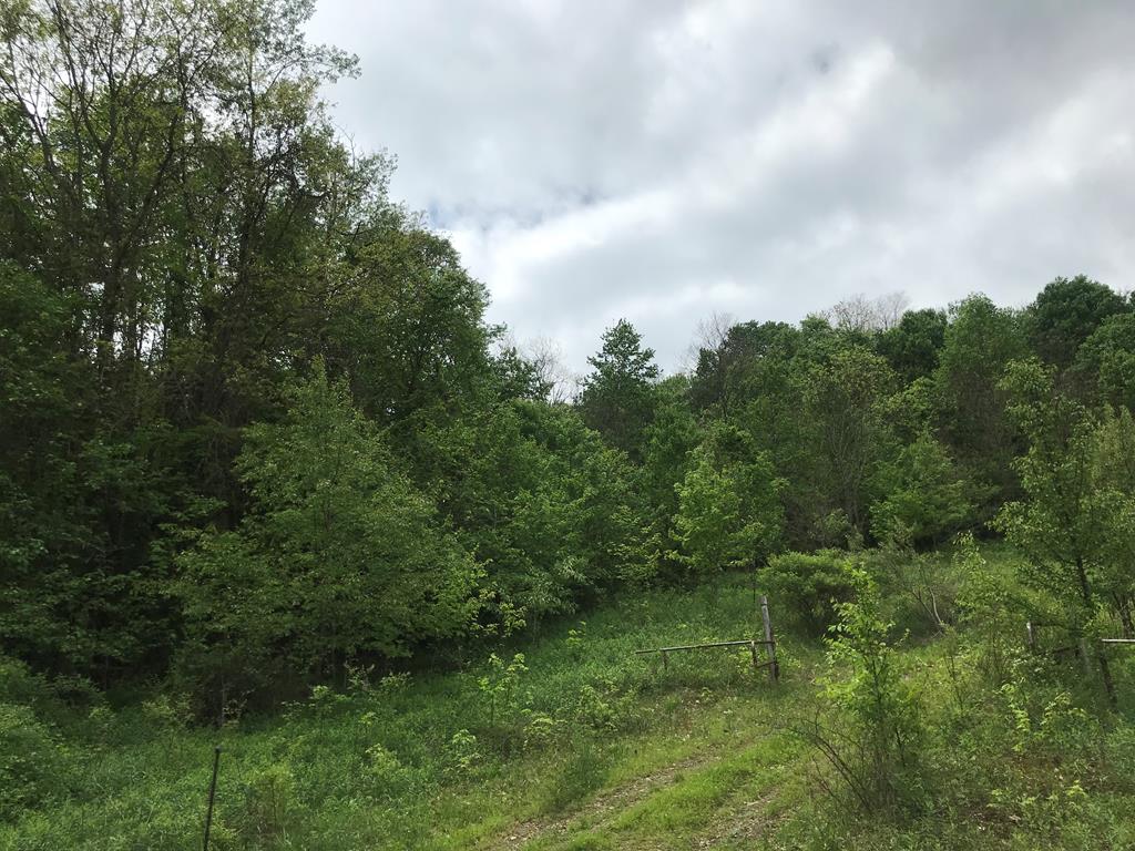 - Deer Hollow Road New Bethlehem, PA 16242 - Photo 1 of 6