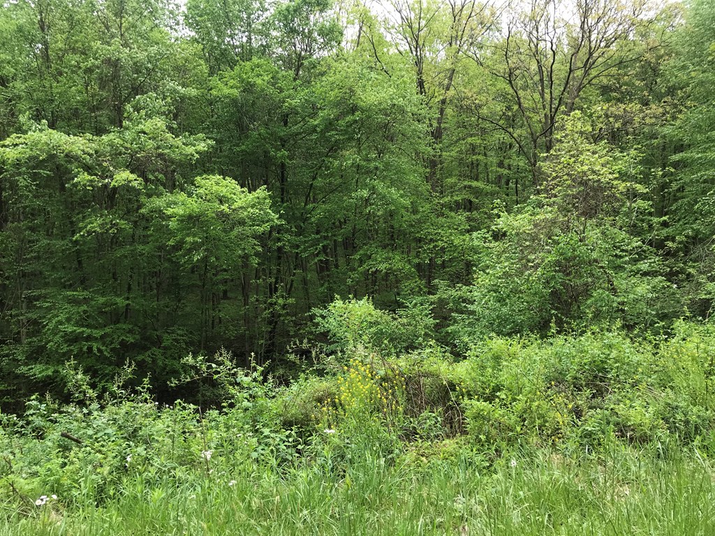 - Deer Hollow Road New Bethlehem, PA 16242 - Photo 2 of 6