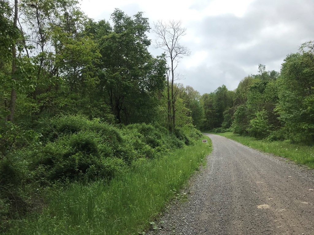 - Deer Hollow Road New Bethlehem, PA 16242 - Photo 3 of 6