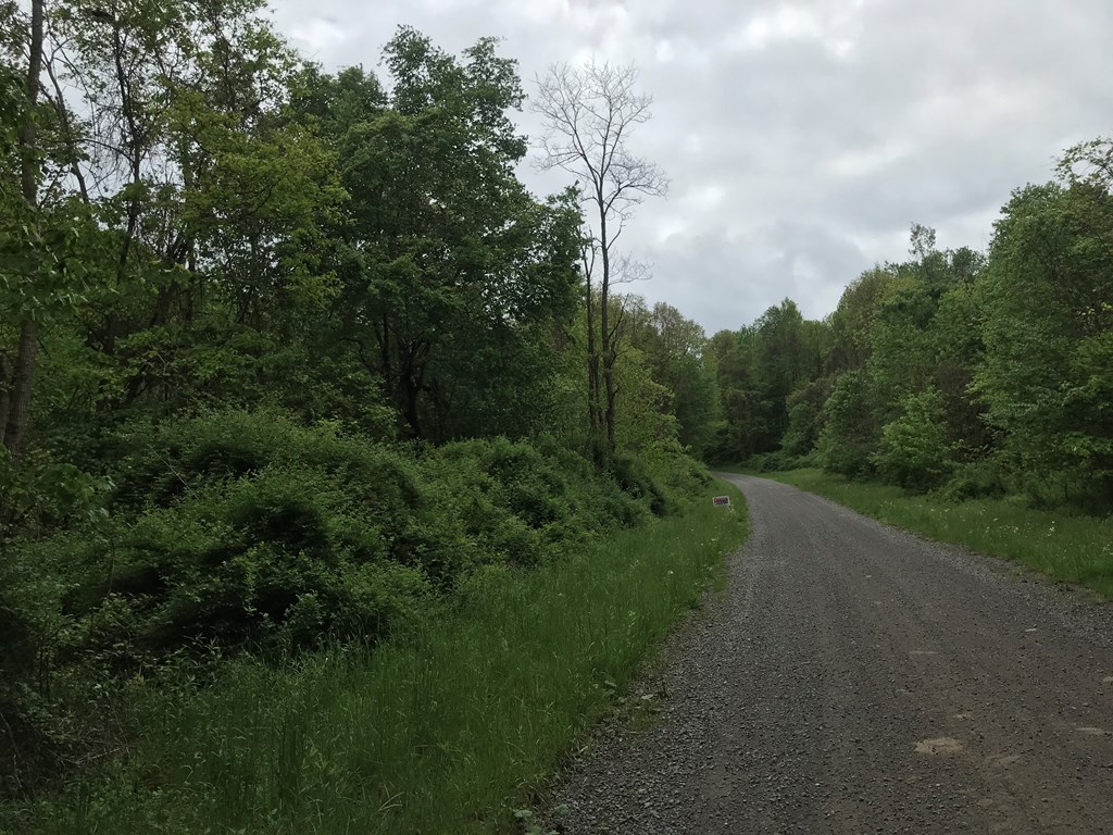 - Deer Hollow Road New Bethlehem, PA 16242 - Photo 4 of 6