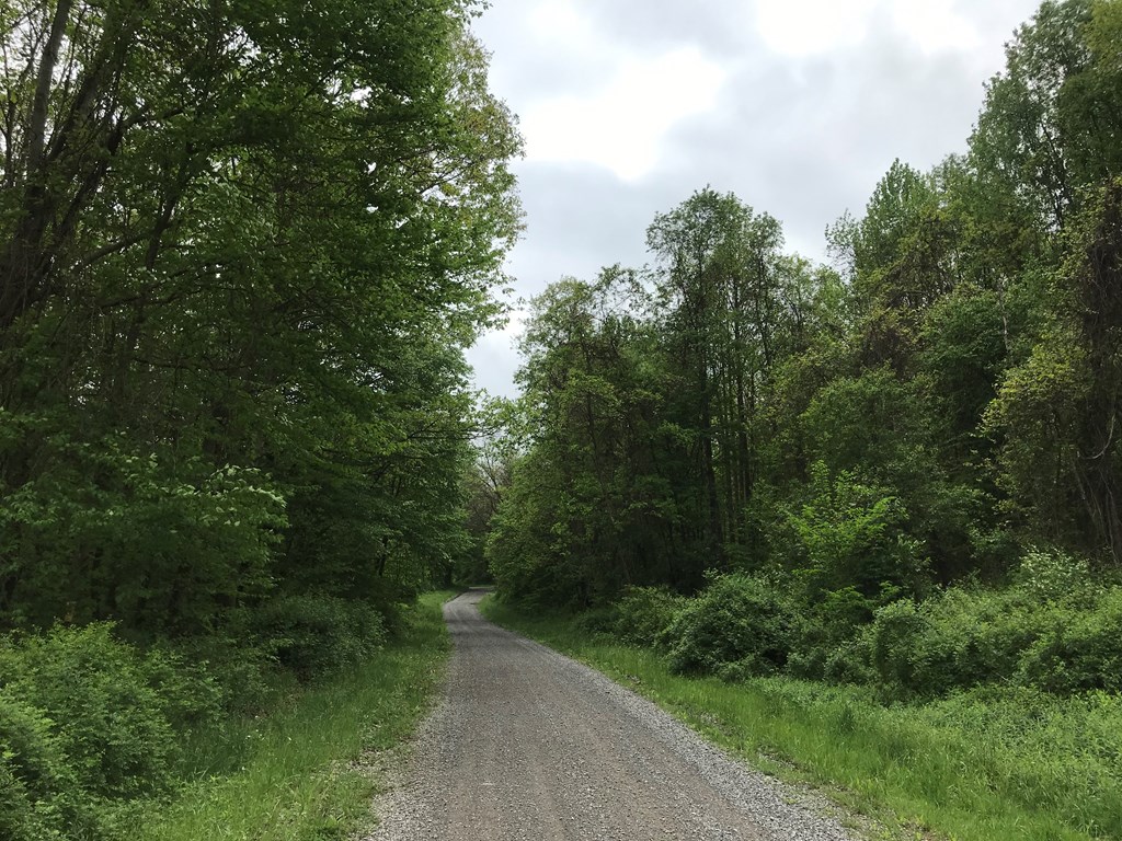 - Deer Hollow Road New Bethlehem, PA 16242 - Photo 5 of 6
