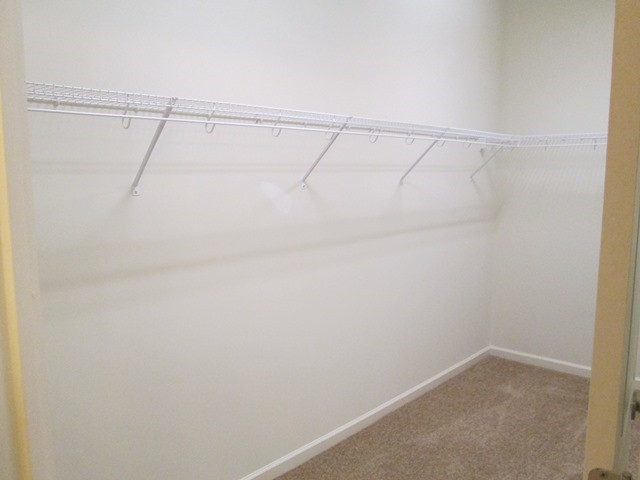 216 Zante Currant Road Durham, NC 27703 - Photo 15 of 19 Photo 15