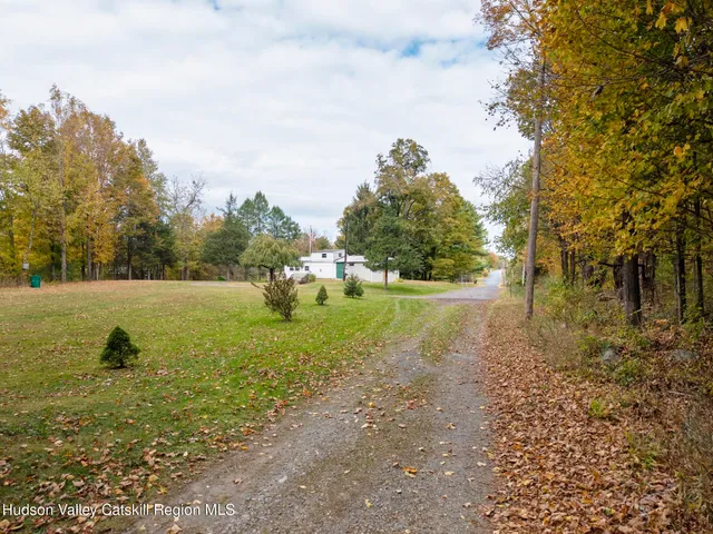 a view of a field with large trees