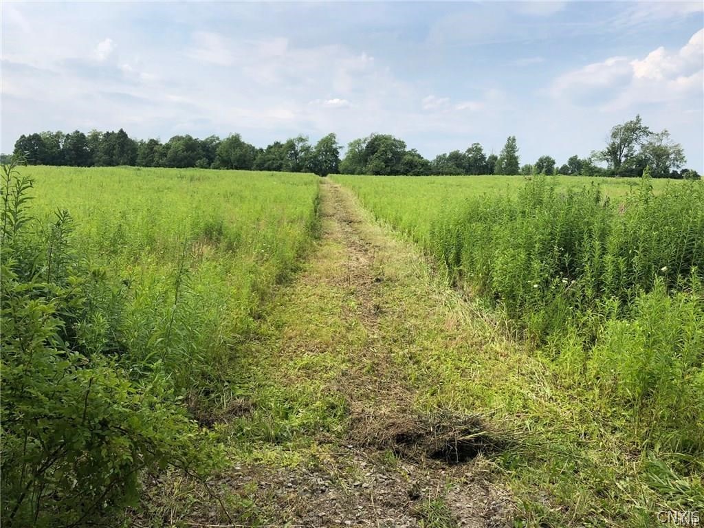 953 Sherman Road Virgil, NY 13045 - Photo 1 of 1 Gallery Image 1