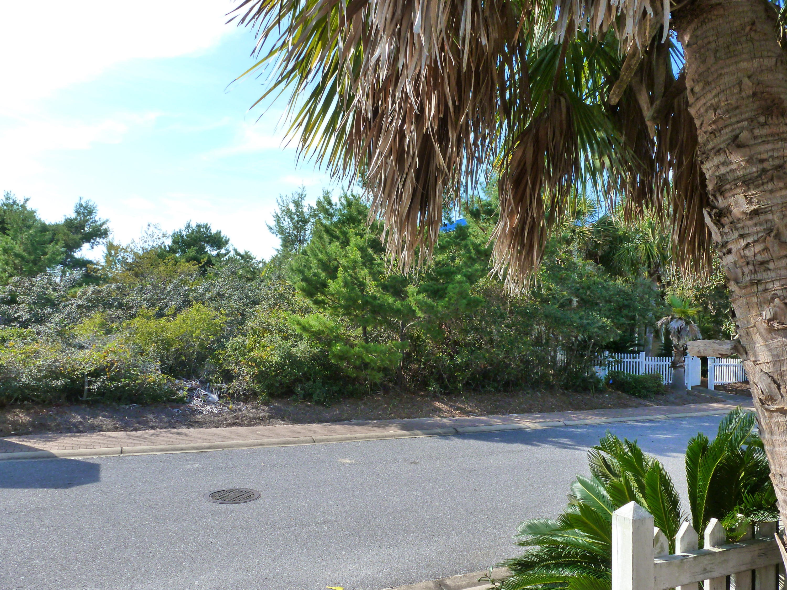 Lot 56 Draper Lane Santa Rosa Beach, FL 32459 - Photo 3 of 16 Gallery Image 3