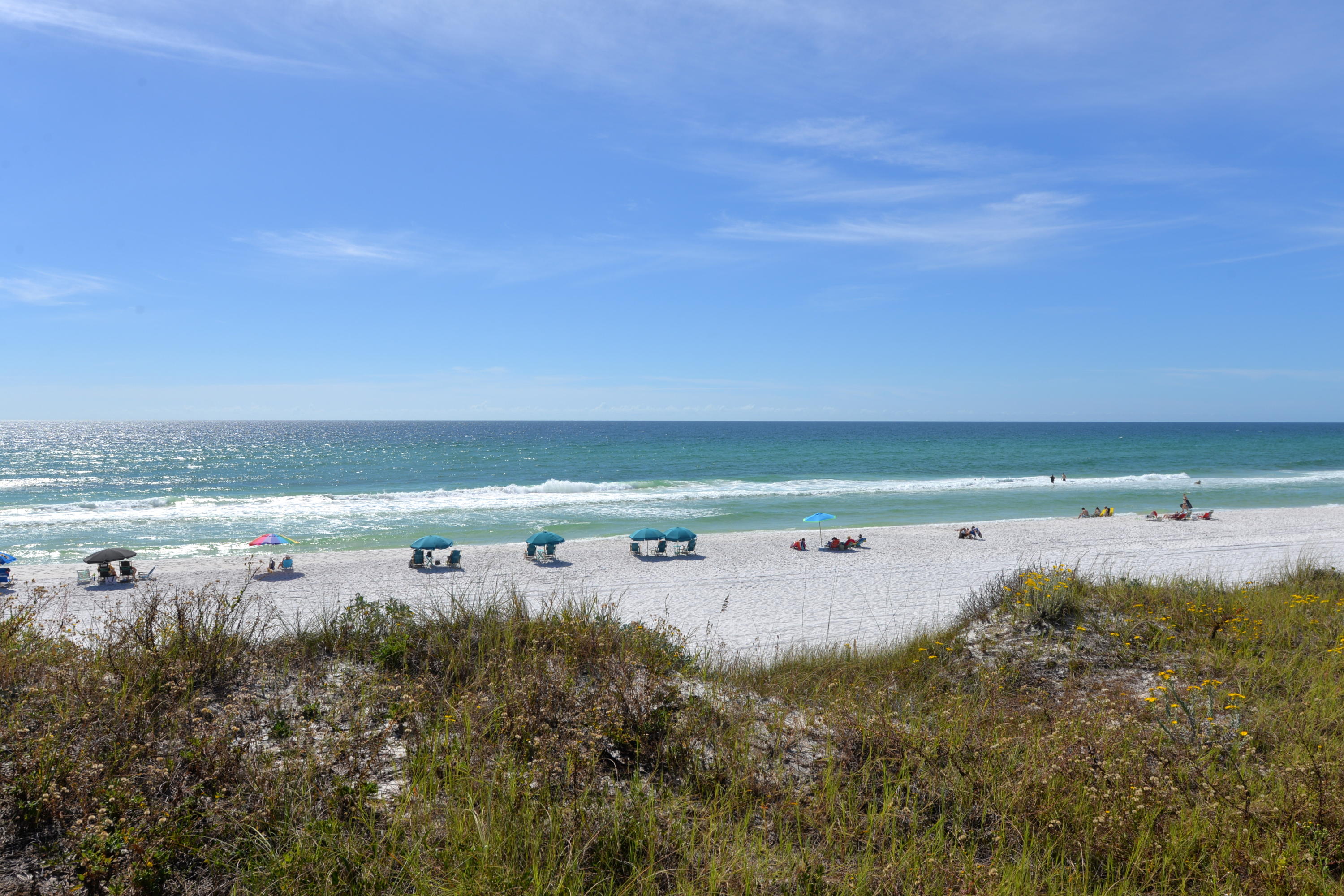 Lot 56 Draper Lane Santa Rosa Beach, FL 32459 - Photo 9 of 16 Gallery Image 9