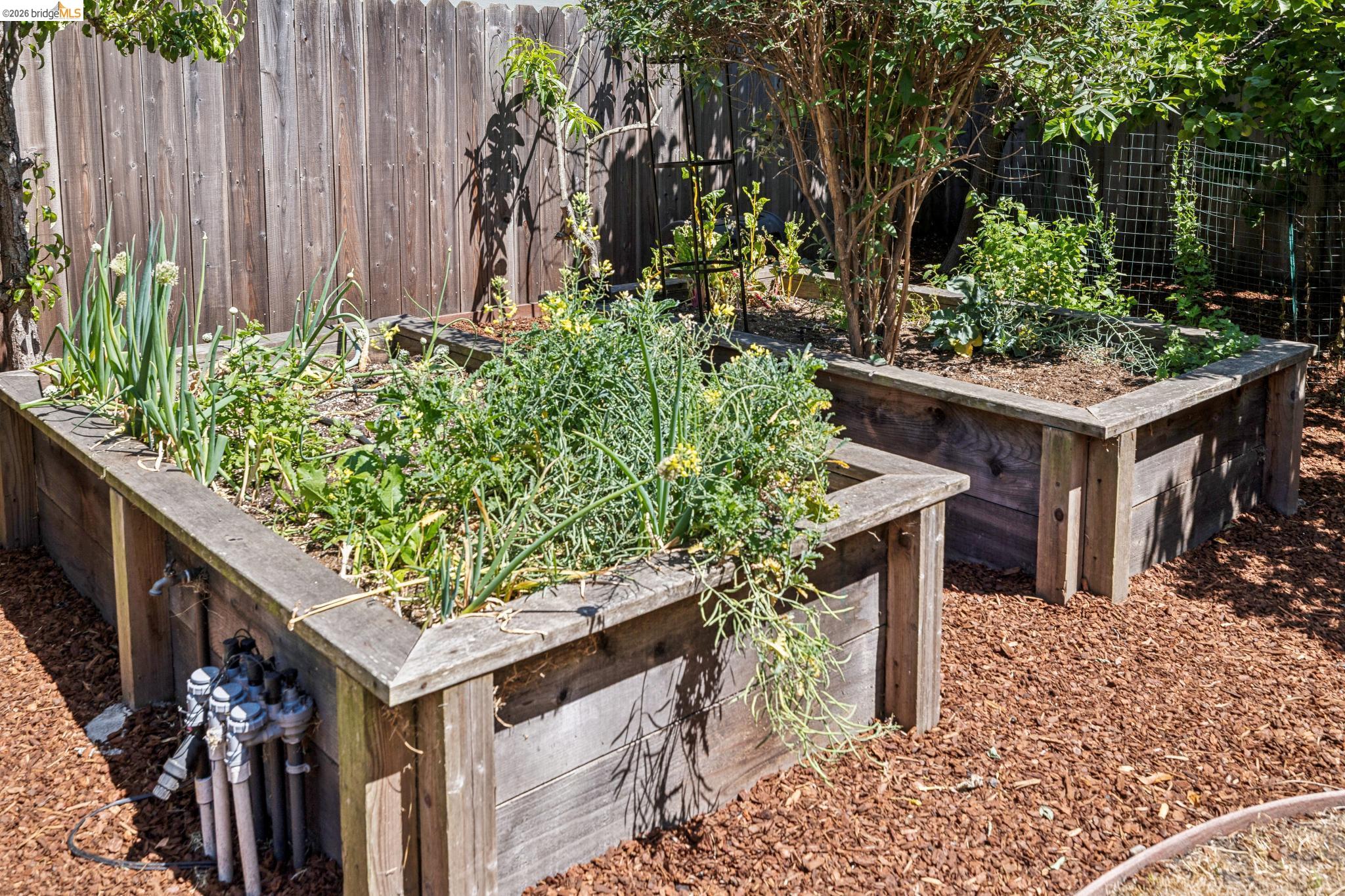1108 Dwight Way Berkeley, CA 94702 - Photo 38 of 60