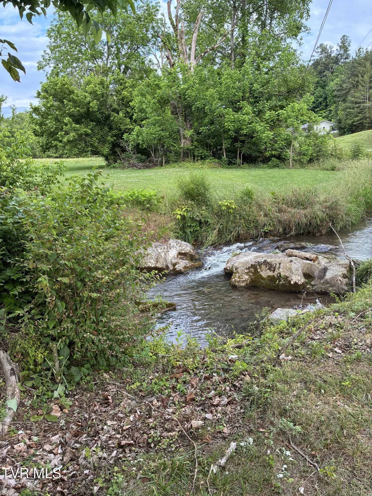 940 Middle Creek Road Afton, TN 37616 - Photo 15 of 80 Landscape 14