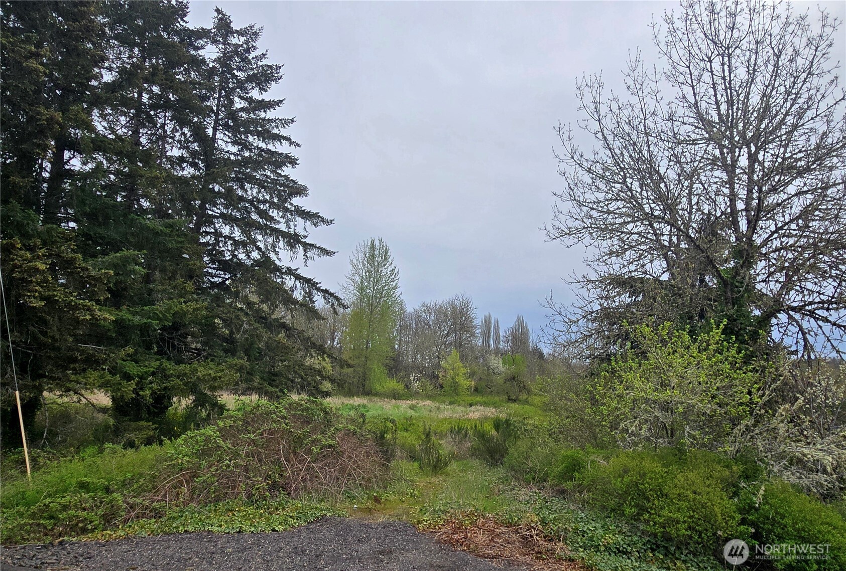 198 Chandler Road Chehalis, WA 98532 - Photo 1 of 6 Gallery Image 1