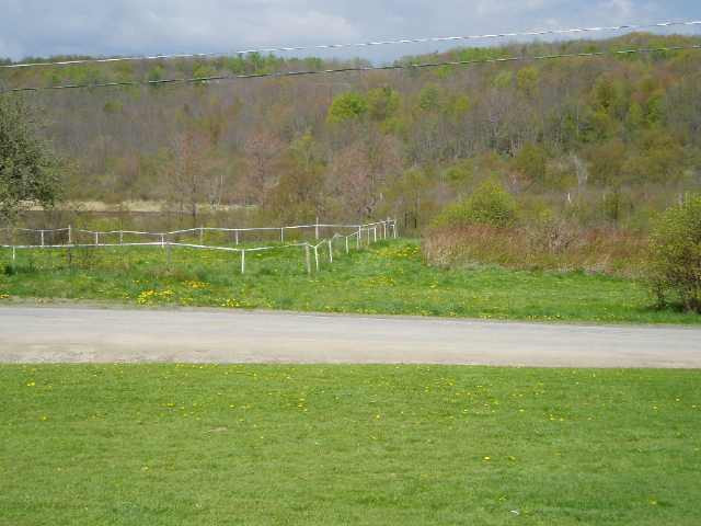 1162 Enid Road Summit, NY 12175 - Photo 10 of 10 Photo 10