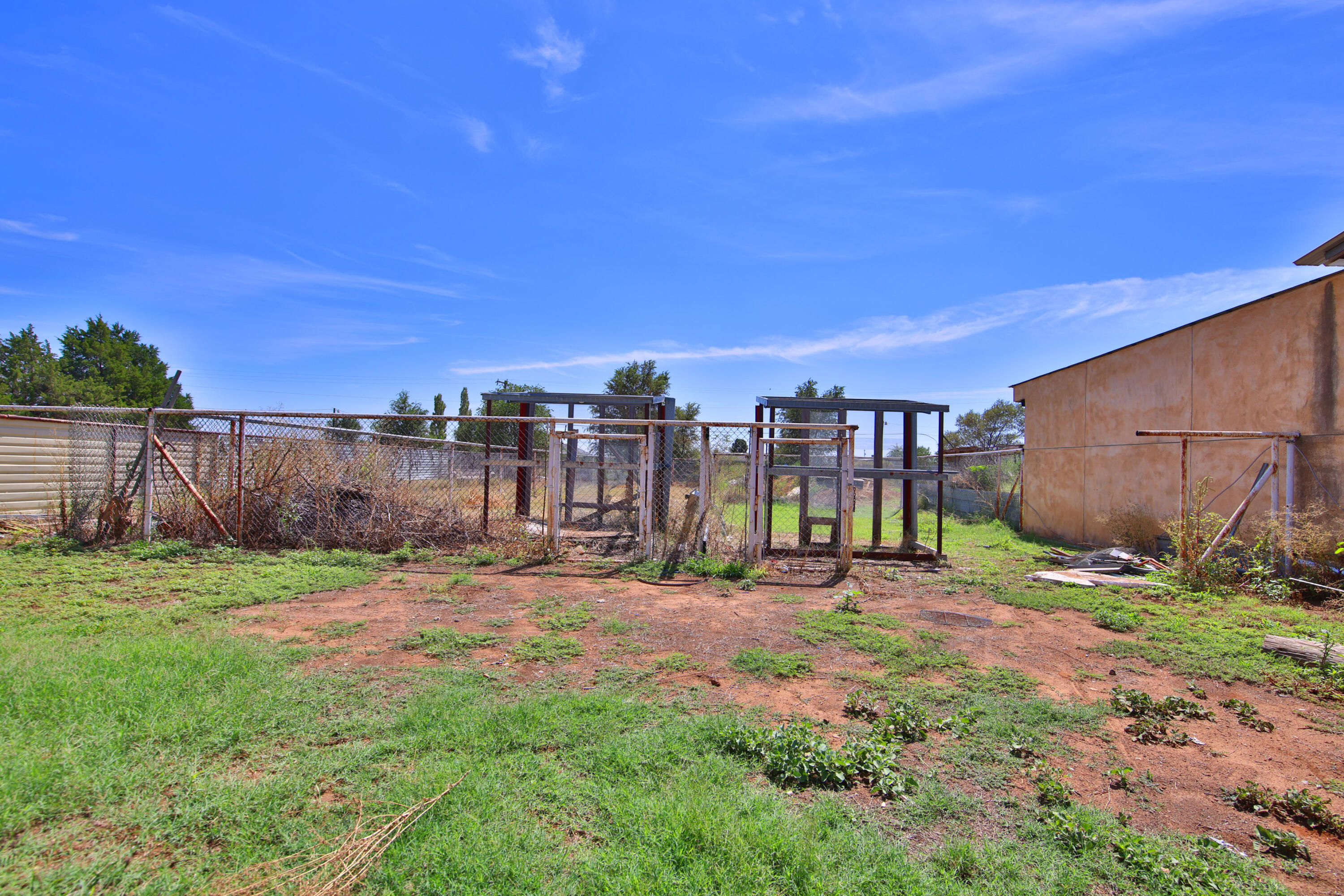 1211 140th Street Lubbock, TX 79423 - Photo 40 of 48 a view of a backyard with plants and trees