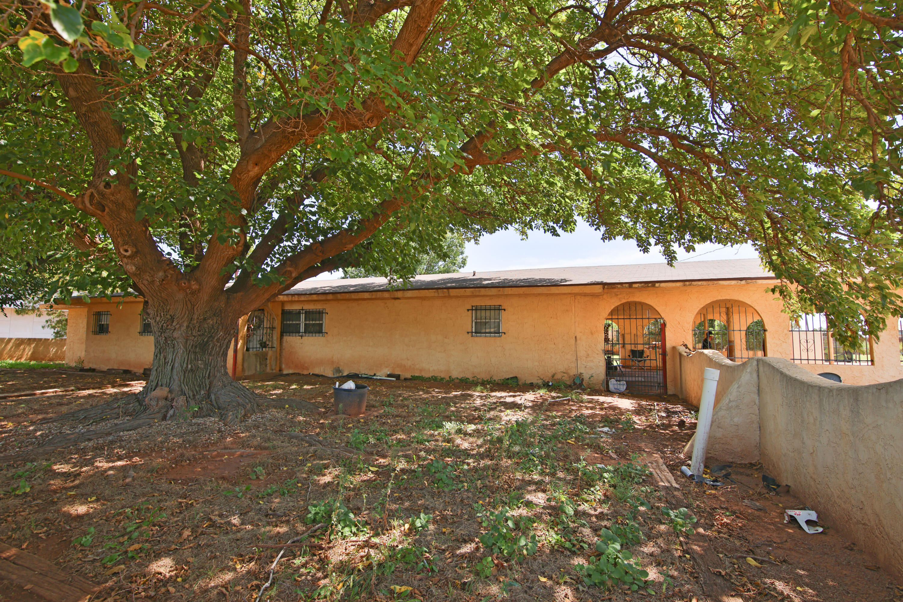 1211 140th Street Lubbock, TX 79423 - Photo 48 of 48 front view of a house with a large tree