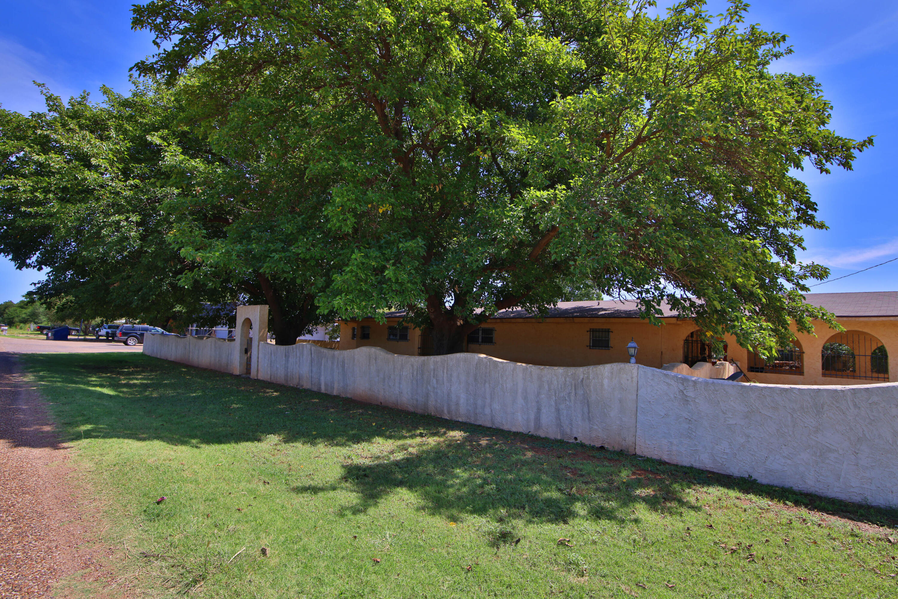 1211 140th Street Lubbock, TX 79423 - Photo 5 of 48 a view of a backyard with a tree