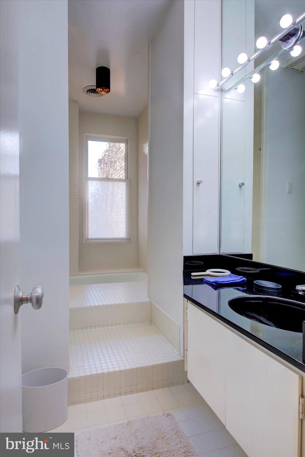 515 2nd Street Southeast Washington, DC 20003 - Photo 65 of 80 Primary bathroom