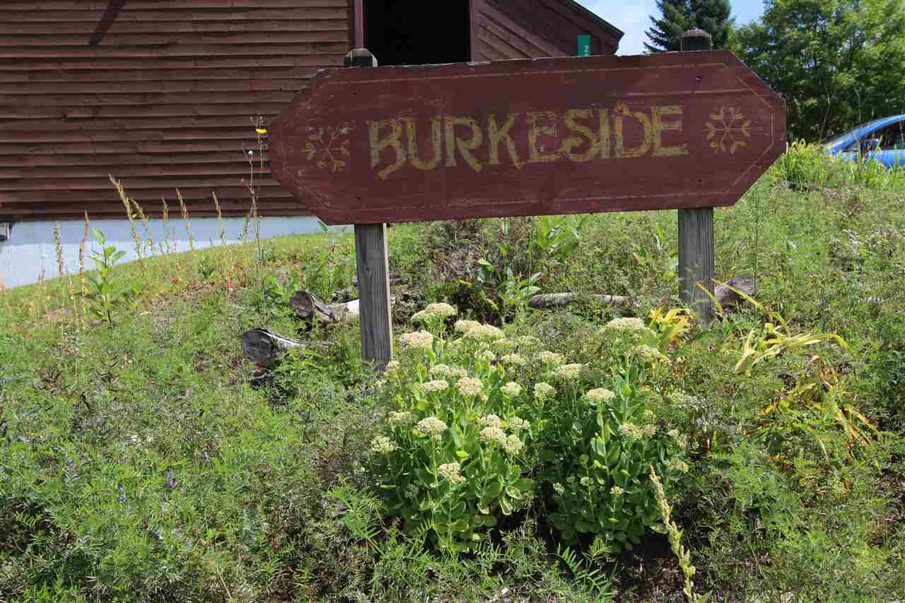 127 Burkeside Road Burke, VT 05832 - Photo 2 of 22 Gallery Image 2