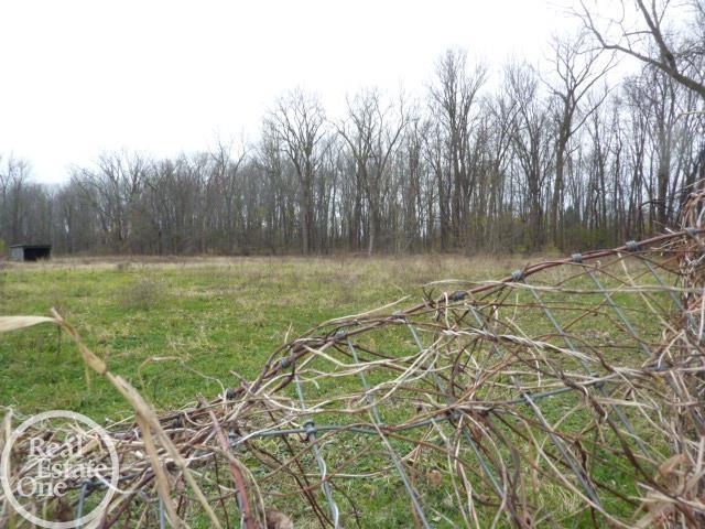 47635 Sugarbush Road New Baltimore, MI 48047 - Photo 14 of 22 50162054-2247b038-f238-4b3b-b0c9-db43a818078a.JPG