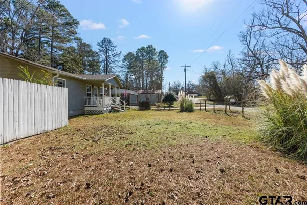 a big tree in middle of the garden