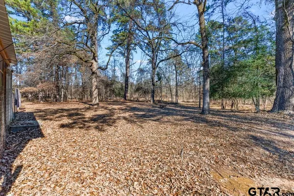 a view of road with large trees