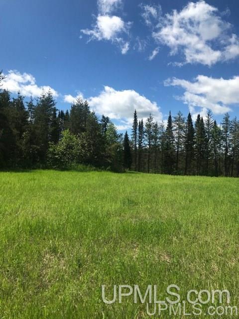 Tbd Tbd Co Road, Unit 34 34 ACRES Champion, MI 49814 - Photo 31 of 31