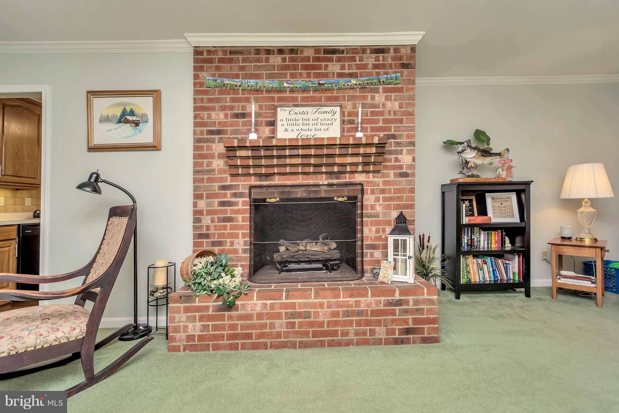 2486 New Bridge Road Mineral, VA 23117 - Photo 12 of 30 Fireplace with new gas insert