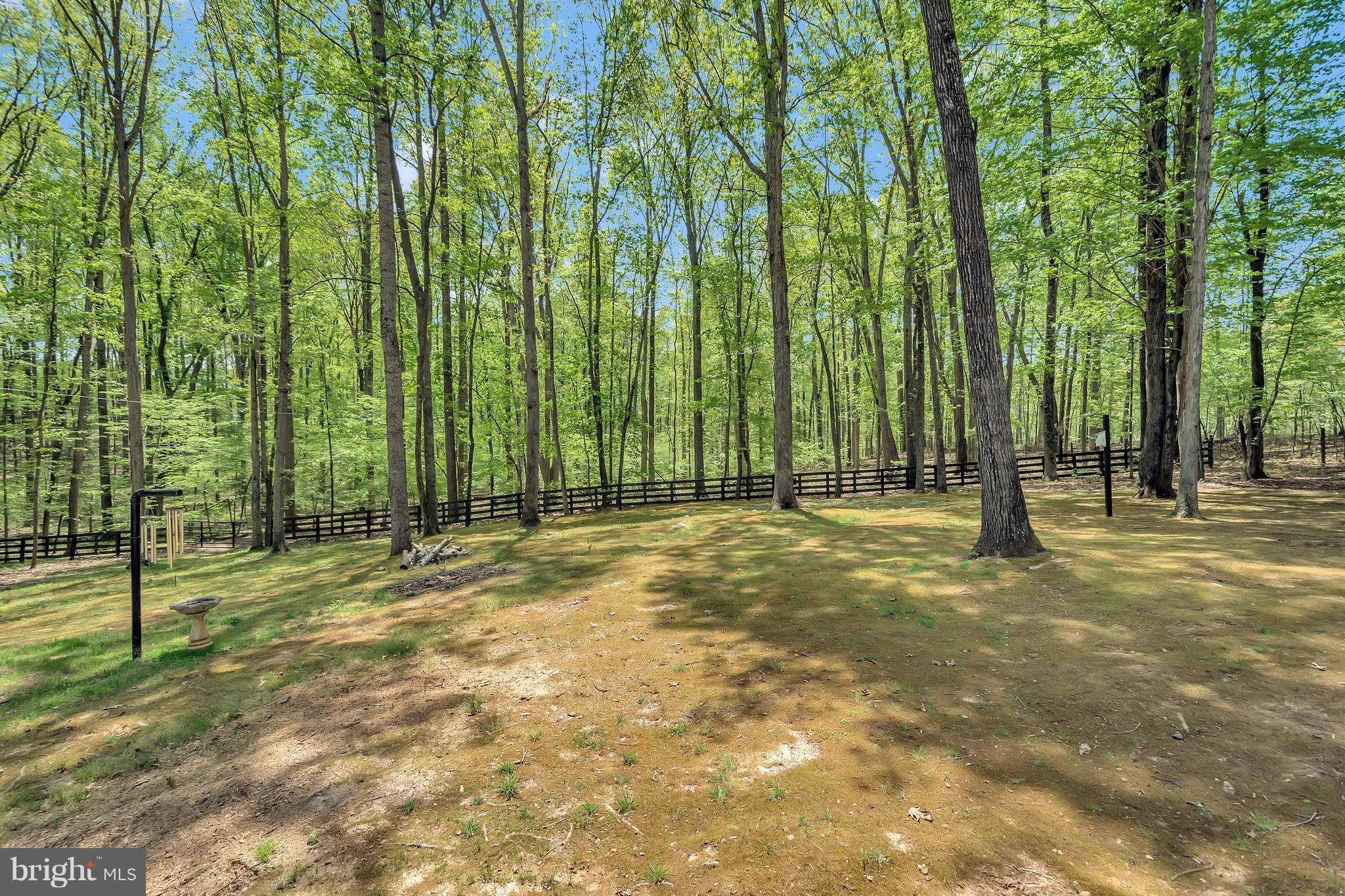 Beautifully wooded lot