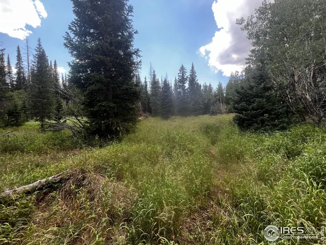 $600,000 | 0 Forest Service Circle, Red Feather Lakes, CO 80545