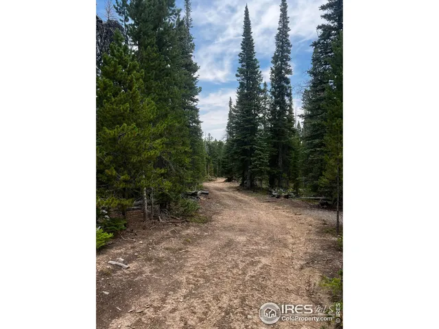 $600,000 | 0 Forest Service Circle, Red Feather Lakes, CO 80545