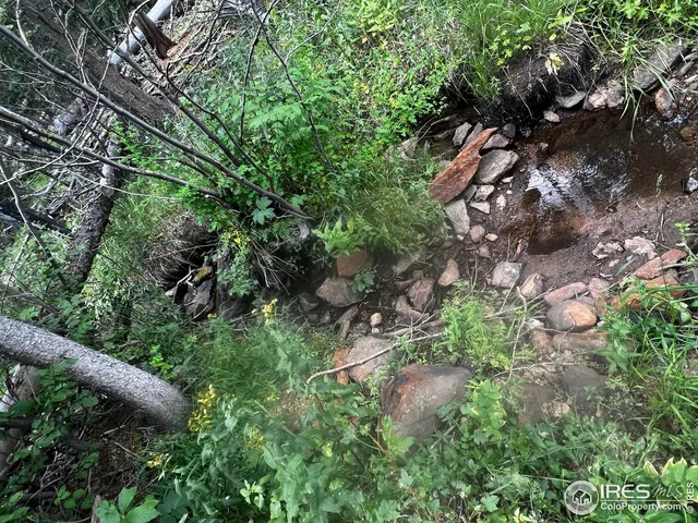 $600,000 | 0 Forest Service Circle, Red Feather Lakes, CO 80545