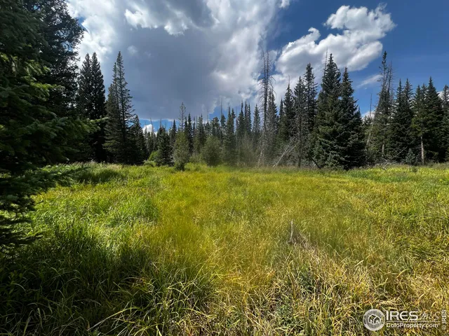 $600,000 | 0 Forest Service Circle, Red Feather Lakes, CO 80545