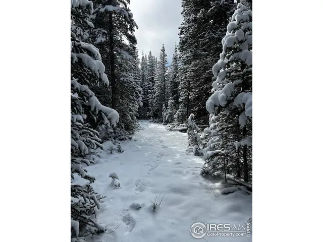 $600,000 | 0 Forest Service Circle, Red Feather Lakes, CO 80545