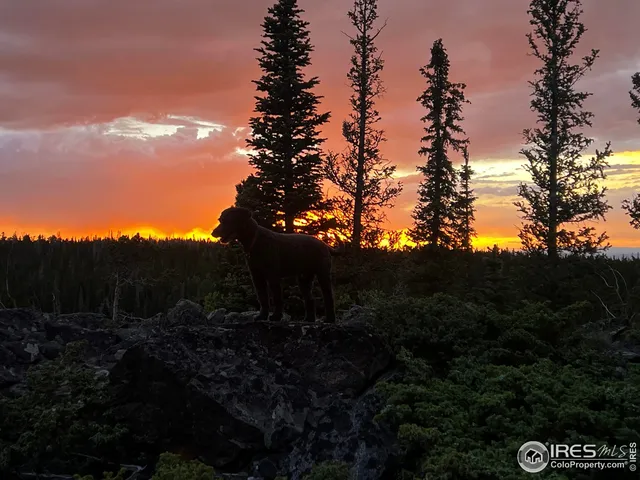 $600,000 | 0 Forest Service Circle, Red Feather Lakes, CO 80545