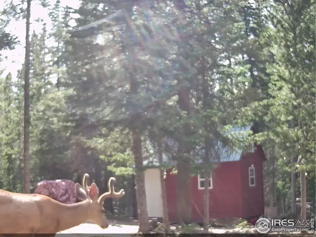 $600,000 | 0 Forest Service Circle, Red Feather Lakes, CO 80545