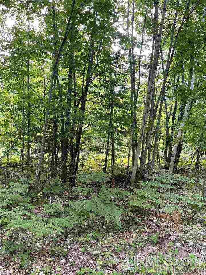 Tbd Timber Creek Road Marquette, MI 49855 - Photo 7 of 14