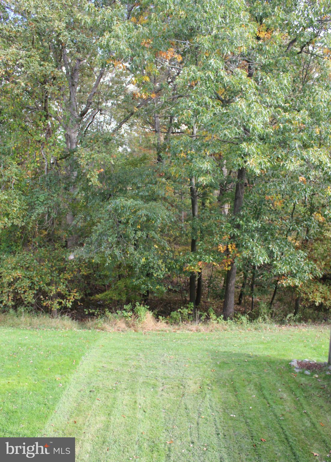 7791 Paddock Way Baltimore, MD 21244 - Photo 8 of 19 a view of a lush green forest