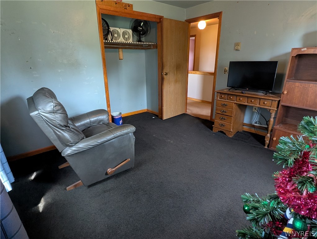 3402 Fruit Avenue Ridgeway, NY 14103 - Photo 36 of 50