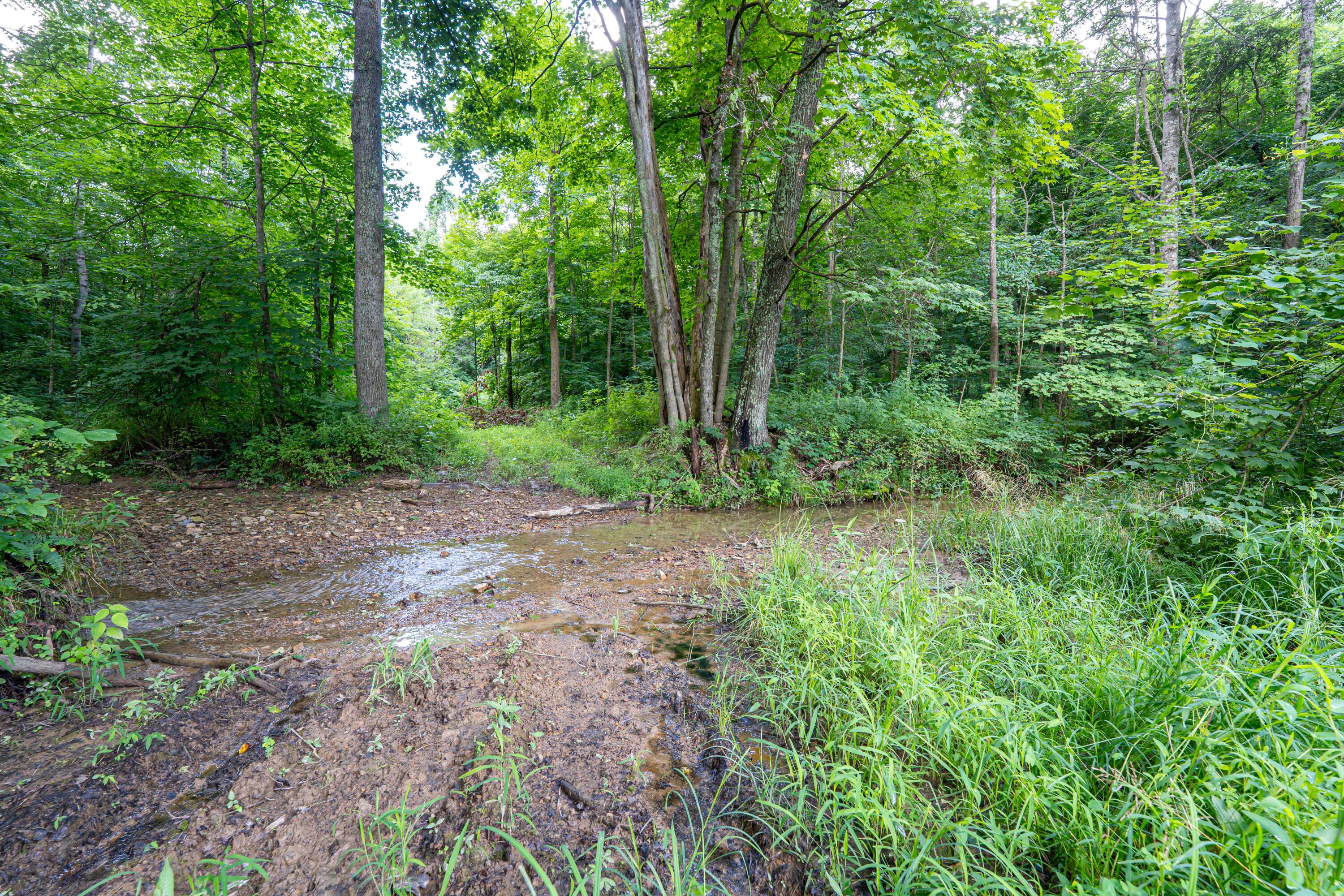 62130 Locker Plant Road McArthur, OH 45651 - Photo 8 of 47 DSC02540