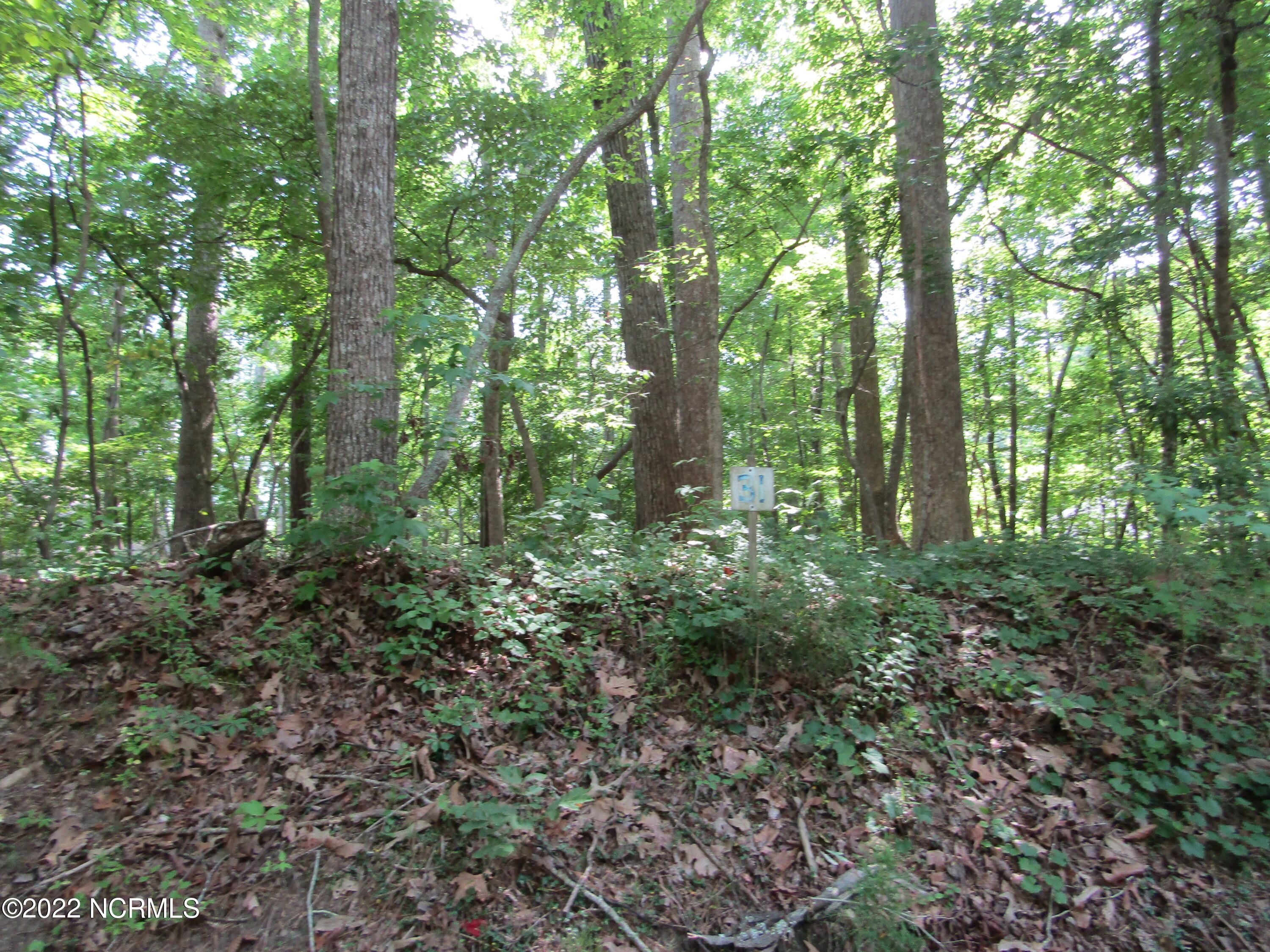 31 Hill Creek Road Chocowinity, NC 27817 - Photo 1 of 10 Main View